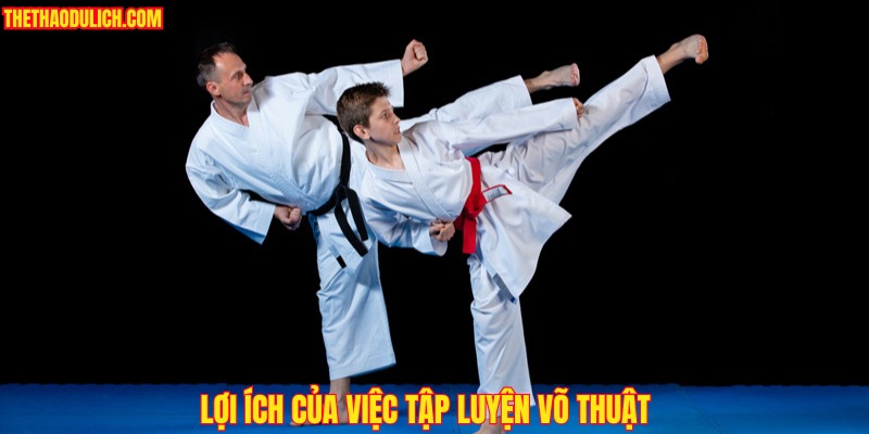 loi-ich-cua-viec-tap-luyen-vo-thuat