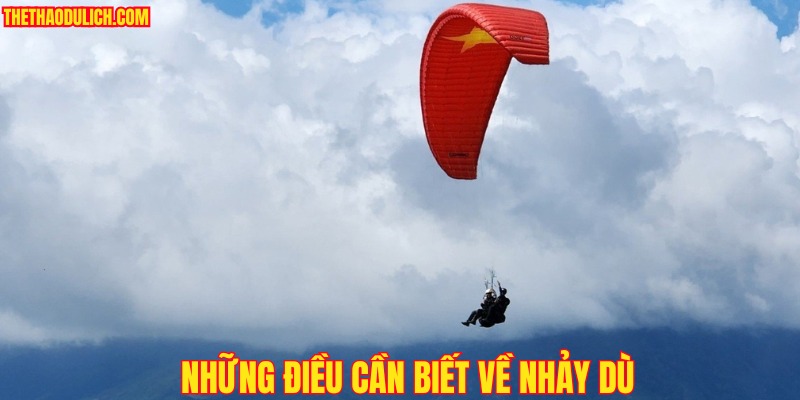 nhung-dieu-can-biet-ve-nhay-du